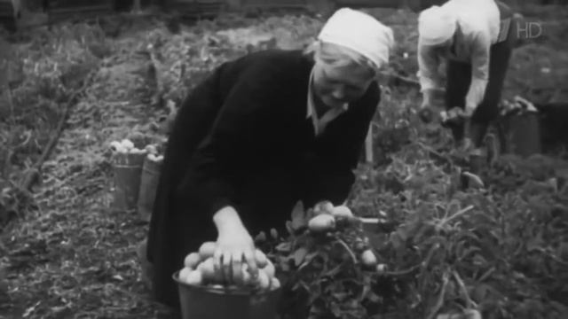 27 января- День снятия блокады Ленинграда. смотреть онлайн