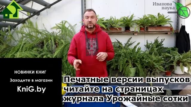 ВСЕ АХНУТ от ВАШЕЙ КАПУСТЫ и... АСТР! Положите ЭТО в лунку при посеве семян капусты, астр, циний... смотреть онлайн