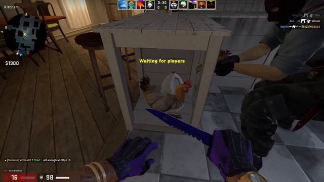 THE ESEA EXPERIENCE 2 смотреть онлайн