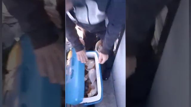 запись на рыбалку по телефону 89245246006, купить готовые оснастки Уссурийск, ул арсеньева 1,2этаж