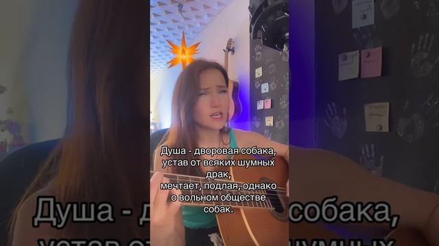 Душа - дворовая собака. Стихи - Евгений Евтушенко смотреть онлайн