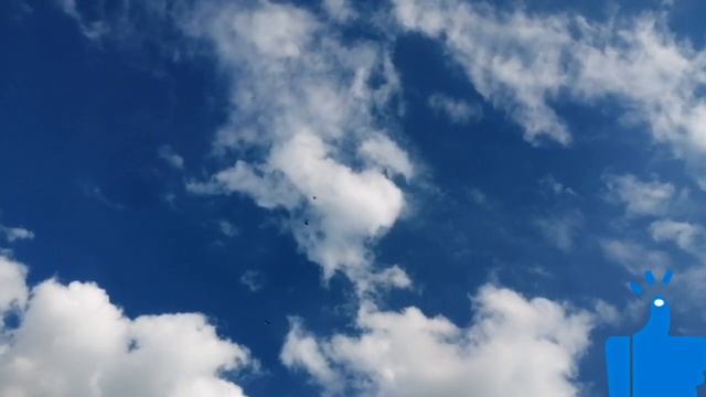 ??️ ГОЛУБИ ?️? ПЛЕМЕННОЙ СЕЗОН ? 22.04.2020.г. смотреть онлайн