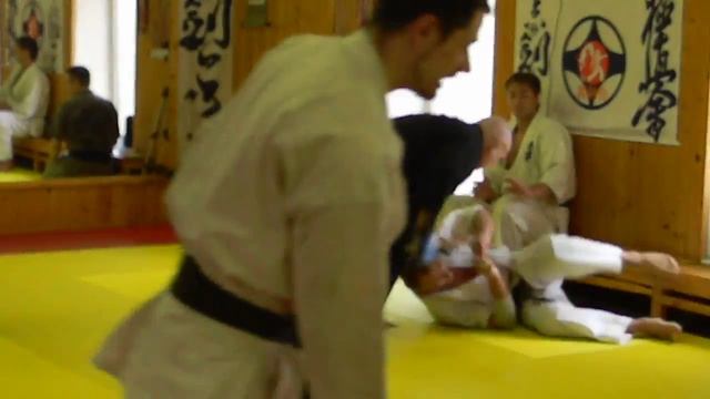 Дан- тест кекусин Будокай 2011 год - 1 смотреть онлайн