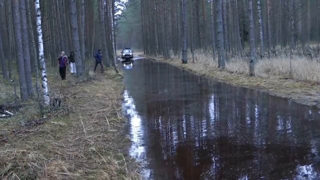 Водная Феерия... (Бронто-Рысь 2).mp4 смотреть онлайн