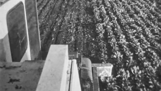 Высокопроизводительные свеклоуборочные машины, 197x. смотреть онлайн