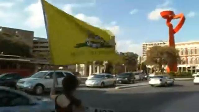 Stock Footage - Protestor with Gadsden Flag смотреть онлайн