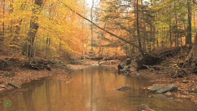 Enchanting Autumn Forests With Beautiful Piano Music? Autumn Ambience & Fall Foliage