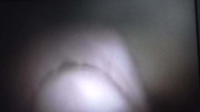 ЭМБРИОНЫ ПОЖИРАЮТ братьев и сестер. КАННИБАЛИЗМ песчаных тигровых акул. смотреть онлайн