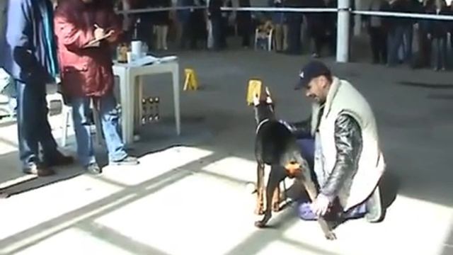 VI Dobermann Cup 2004, part 1 смотреть онлайн