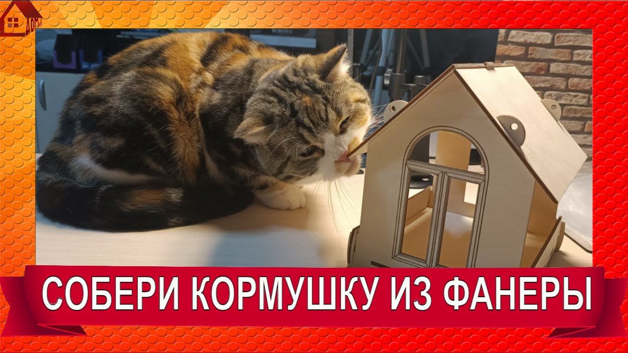 КОРМУШКА ДЛЯ ПТИЦ - конструктор сделай сам из фанеры смотреть онлайн