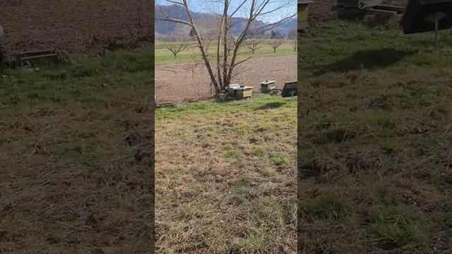 Город отжал половину земли? Весна +19 градусов. смотреть онлайн