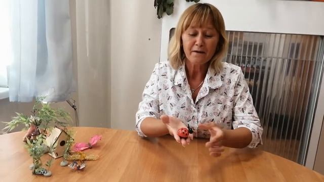 Познавательная программа 