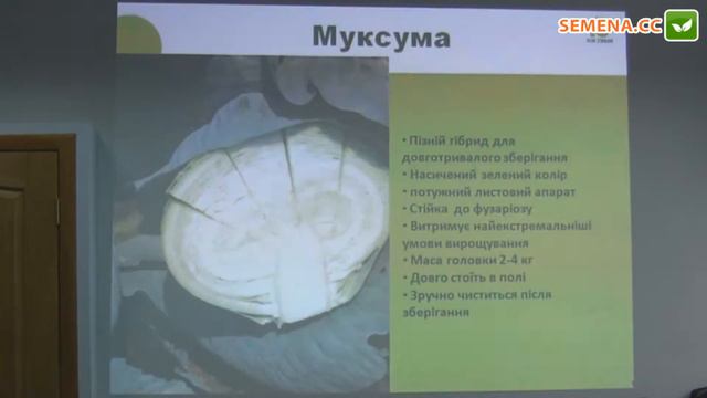 Муксума F1 Капуста (Rijk Zwaan) Семинар 20.09.2016 смотреть онлайн