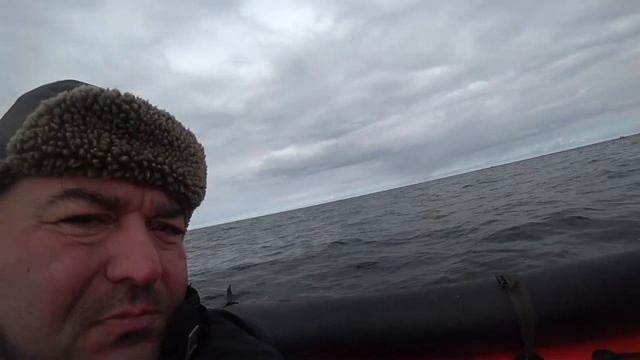 Северная пикша тоже хорошая рыбка! смотреть онлайн