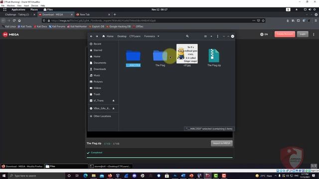 #28 How to solve Digital Forensics challenges (CTF Learn) Part 1 | Cybersecurity смотреть онлайн