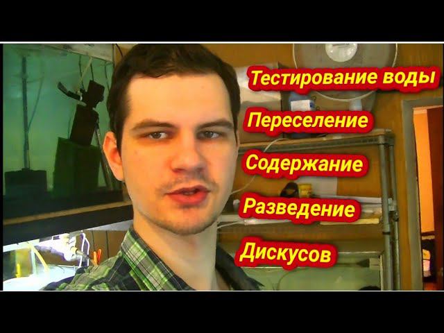 Тестирование нашей воды. Великое переселение и разведение Дискусов смотреть онлайн