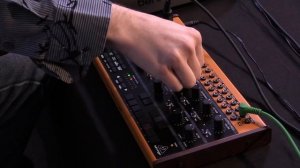 Behringer Crave - Знакомство с Новинкой!