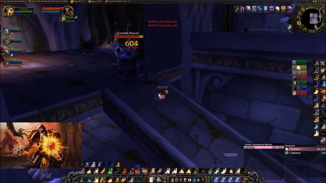 Holy Prot WoW Classic | Dire Maul North | Paladin Tanking #2 смотреть онлайн