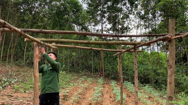 Planting zucchini seeds, making a trellis for the zucchini,cooking on the farm daily life смотреть онлайн