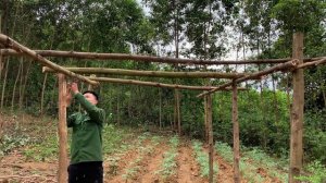 Planting zucchini seeds, making a trellis for the zucchini,cooking on the farm daily life