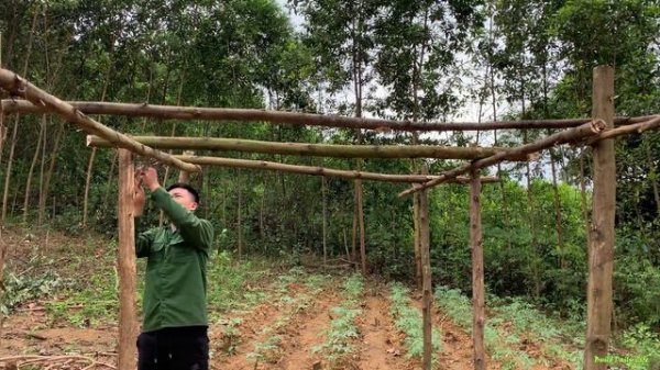 Planting zucchini seeds, making a trellis for the zucchini,cooking on the farm daily life