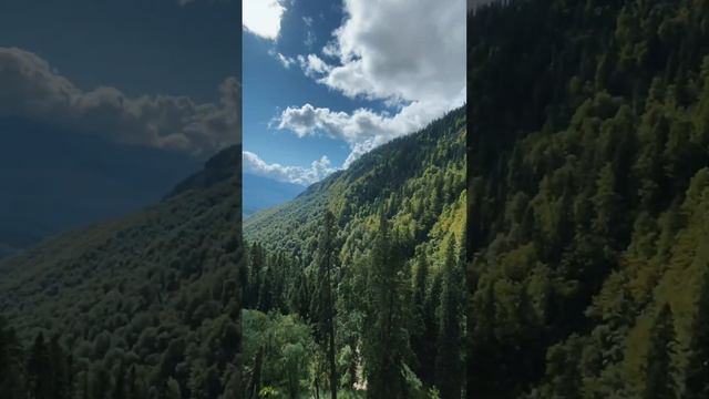 Прогулка по Роза хутор смотреть онлайн