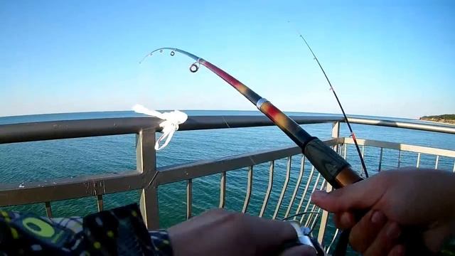 самая уловистая и дешевая снасть на камбалу !!! смотреть онлайн