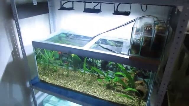 как избавится от улиток катушек смотреть онлайн