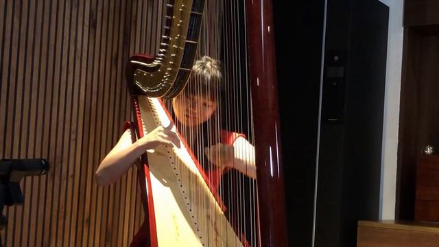 G.F. Handel | Passacaglia (from Suite in G minor, HWV432) смотреть онлайн