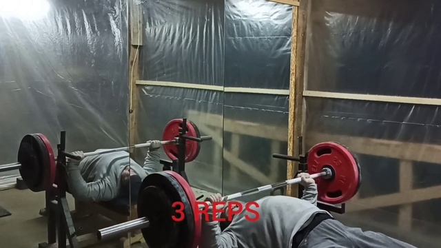 BENCH PRESS, BICEPS. NATURAL SPORTS. БЕЗ ХИМИИ И СПОРТ-ПИТА. смотреть онлайн