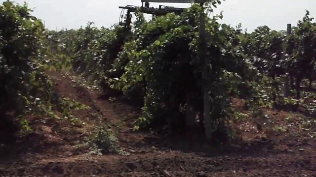 Чеканочная машина STS-535 смотреть онлайн