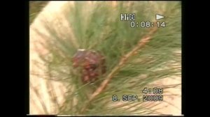 Рыбалка на реке БИРЮСА