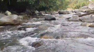 The gentle gurgling sound of water falls asleep in less than 5 minutes [Relaxation,meditation,asmr]