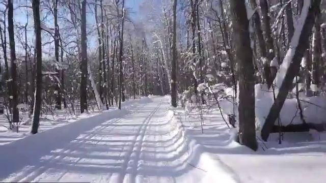 Мороз и солнце день чудесный смотреть онлайн