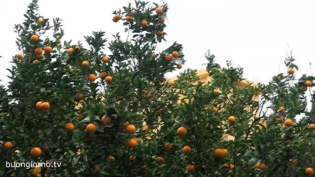 Первые впечатления от Реджо Калабрии. VLOG смотреть онлайн