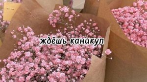 пой эту песню если ты...?Песни. Пой...