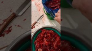 Как правильно отмочить мясо бобра перед приготовлением тушёнки! #cooking #tasty #like #food #food