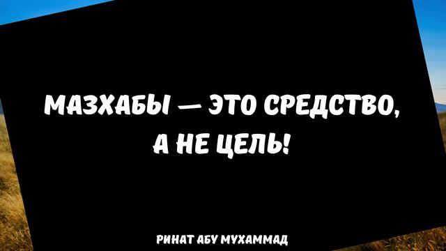 Мазхабы - это средство, а не цель! || Ринат Абу Мухаммад смотреть онлайн