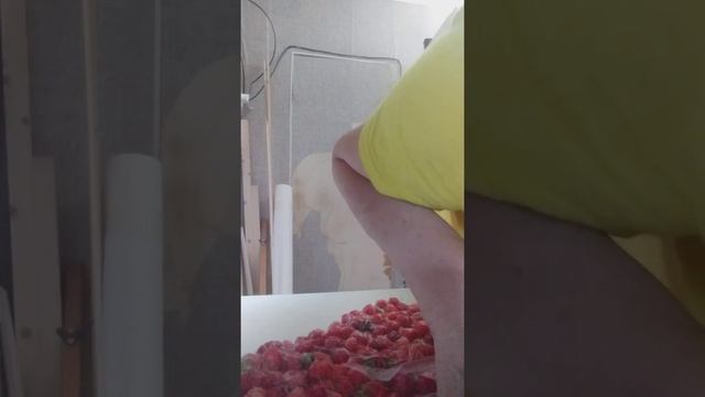 Хранение свежих ягод в морозилке. смотреть онлайн