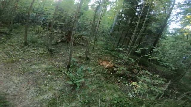 +Вызов Духов+ | Слендермен (1.В лесу.2.ЗАПИСКИ!) смотреть онлайн