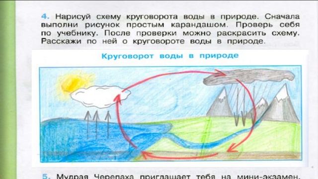 Окружающий мир. Рабочая тетрадь 3 класс 1 часть. ГДЗ стр. 34 №4 смотреть онлайн