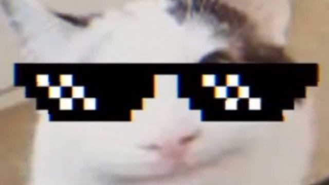 Белуга и хацкер и тигруля смотреть онлайн