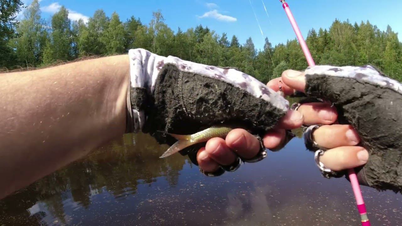 #440 #мормышинг на Озере Бель, окунь смотреть онлайн