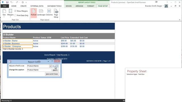Report Builder for MS Access Tutorial смотреть онлайн