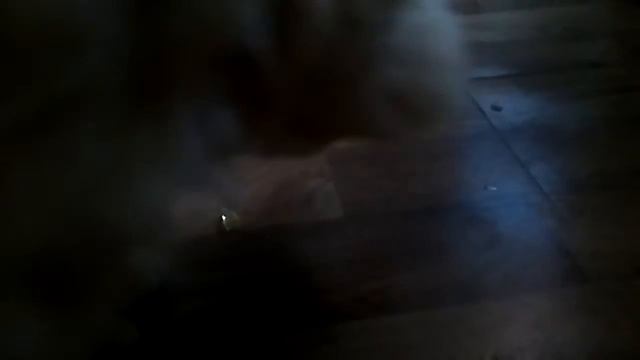 Стащил рыбий жир,а теперь доедай!