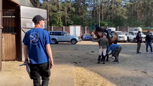 Иппосфера-2021 смотреть онлайн