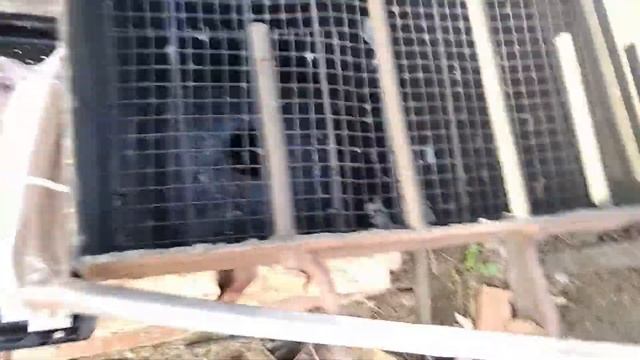 Руководство к Творчеству