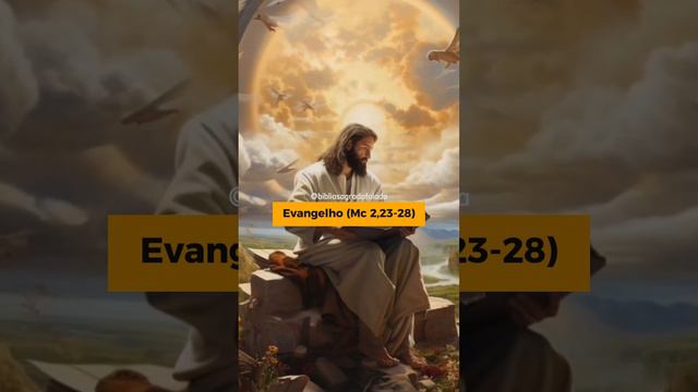 Evangelho Mc 2;23-28 - 16/01/2024 #biblia #fe #liturgiadodia смотреть онлайн
