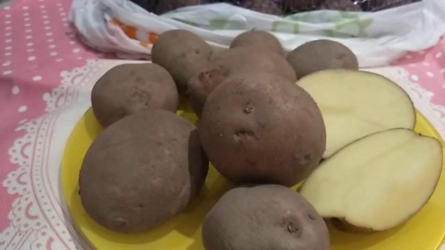 купила сорт картофеля Першацвет(Первоцвет),07.03.23 смотреть онлайн