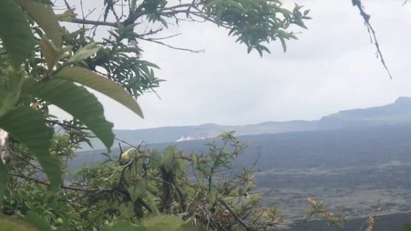 Galapagos Islands / Галапагосские острова. Part 1/ЧАСТЬ 1 (НА СУШЕ)